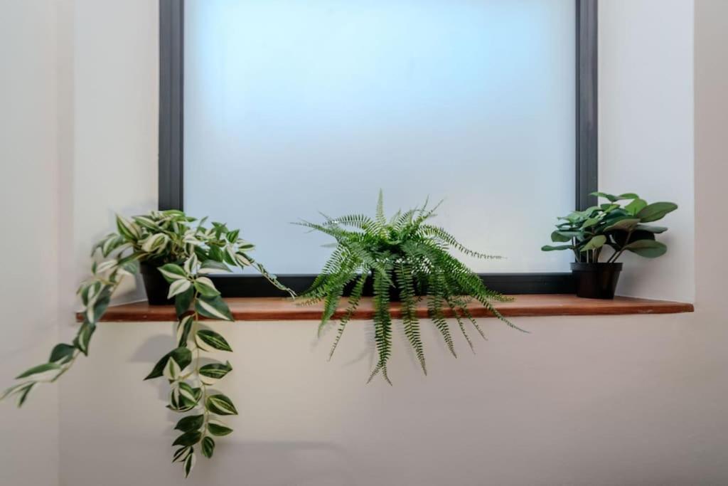 Et Volcans - Grand Proche Centre-ville Pour 24 Personnes Clermont-Ferrand